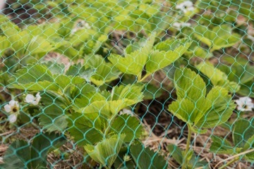 Защитная сетка для птиц, по размеру, 35 г, птица, УФ, широкая, 10 м, вольеры, куры