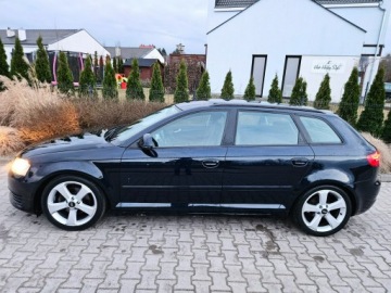 Audi A3 8P Hatchback 3d 1.4 TFSI 125KM 2008 Audi A3 Sportback Rata od 450zł, zdjęcie 12