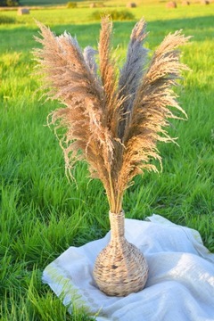 НАТУРАЛЬНАЯ ПАМПАССНАЯ ТРАВА ВЫСОКАЯ ПУШИСТАЯ БОХО КОФЕ 120СМ 5ШТ