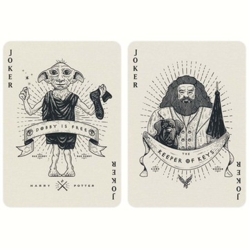 ГАРРИ ПОТТЕР Теория11 Игральные карты Слизерина