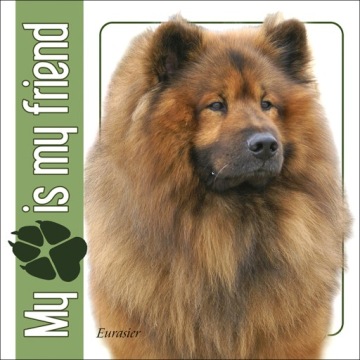 Eurasier - naklejka 14x14cm