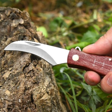 Scyzoryk do grzybów DSP0178