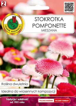 PNOS NASIONA KWIATÓW STOKROTKA POMPONETTE 0,1G