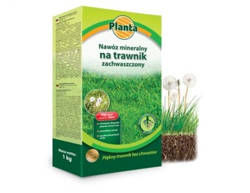 NAWÓZ MINERALNY DO TRAWY WIOSENNY NA TRAWNIK 1KG