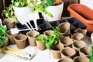 24 торфяных горшочка для рассады и маринования рассады
