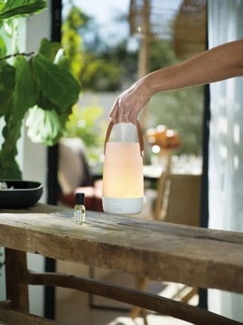 АРОМАТНЫЙ ДИФФУЗОР Petit Lantern Esteban