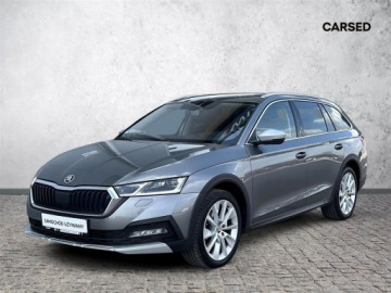 Skoda Octavia IV Scout 2.0 TDI 150KM 2023 Skoda Octavia 2.0TDI 150KM Scout 4X4 DSG l Hak, Gr