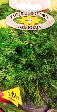 Koper ogrodowy Ambrozja nasiona 5g