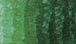 FARBA OLEJNA 120ml PHOENIX 568 SAP GREEN