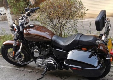 СПИНКА ВОДИТЕЛЯ/ПАССАЖИРА ПОДХОДИТ ДЛЯ HARLEY Electra Road King