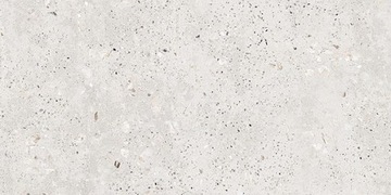 FLASH WHITE CARVING 60x120 GAT.1