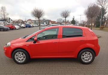 Fiat Punto Punto 2012 Hatchback 3d 1.2 69KM 2016 Fiat Grande Punto Zarejestrowany - ubezpieczony - wersja Young 1.2 Benzyna, zdjęcie 10