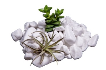 BIAŁY KAMIEŃ OZDOBNY 2-4 cm WOREK 20 kg THASSOS