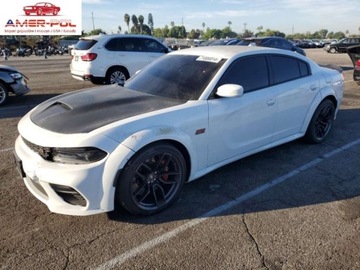 Dodge Charger VII 2021 Dodge Charger Scat Pack 2021 6.4l 6.4 Benzyna 485KM