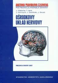 OŚRODKOWY UKŁAD NERWOWY ANATOMIA PRAWIDŁOWA CZŁOWIEKA