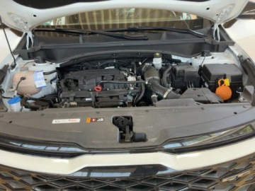 Kia Sportage V SUV 1.6 T-GDI MHEV 180KM 2024 Kia Sportage 1.6 TGDI Mild-Hybrid GT-Line 4WD, zdjęcie 11