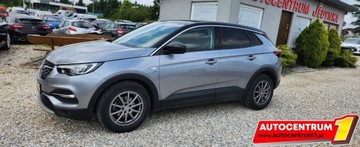 Opel 2020 Opel Grandland X Tylko 66.ooo km Kamera Navi MOZLIWA ZAMIANA 1.2 Benzyna, zdjęcie 14