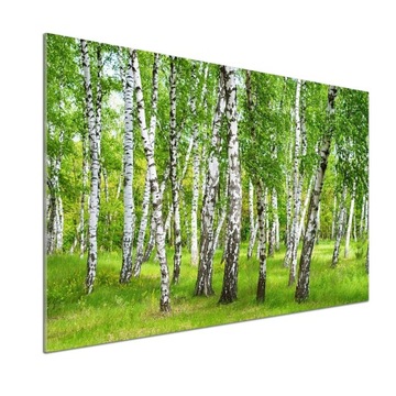 Panel dekor szkło Brzozowy las 100x70 cm + KLEJ