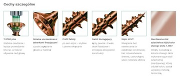 SPAX Шуруп для фасадных плит антик 4,5х70 А2 250