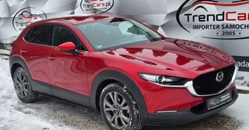 Mazda CX-30 2.0 Skyactiv-X 180KM 2019 Mazda CX-30 2.0 180 KM 4X4 Full opcja bezwypadkowa serwisowana OPLACONA, zdjęcie 13
