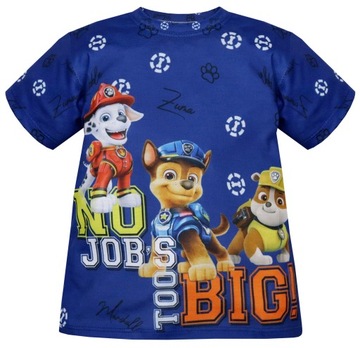 T-SHIRT Chłopięcy Krótki Rękaw Kreskówka Bajka Bawełna r 110 3362