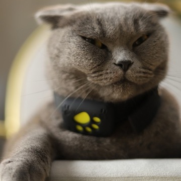 GPS-ОШЕЙНИК Z8 ДЛЯ ЖИВОТНЫХ СОБАК КОШЕК