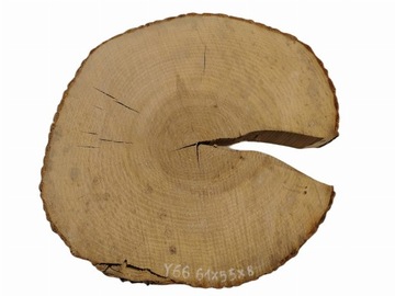 Plaster Jesionowy 61x55 Patera Blat Stolik Jesion