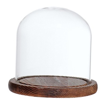 Glass Dome Cloche with Wooden Base Flower Brown E