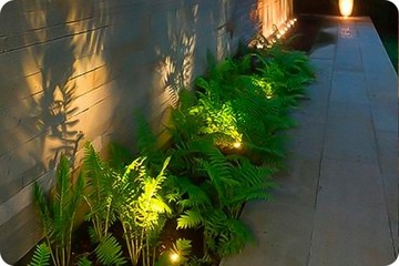Светодиодное освещение для освещения деревьев и кустов.