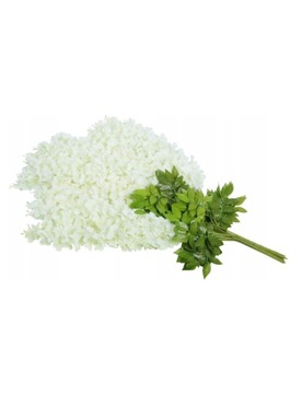 Girlanda Glicynia Pnącze Zwisy Kwiatowe XXL Wisteria fiolet 110 cm 12 sztuk