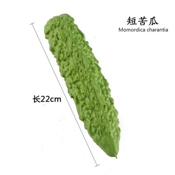 Symulacja warzyw model mini sztuczna kapusta luffa