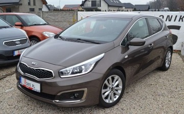 Kia Ceed II Hatchback 5d Facelifting 1.6 GDI 135KM 2018 Kia Ceed 1.6 - BEZWYPADKOWY - Bogata wersja - tuv 2027 - Super Stan 1.6, zdjęcie 11