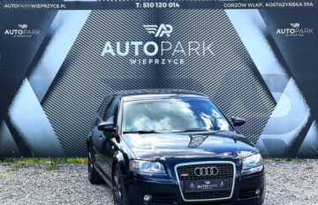 Audi A3 8P Hatchback 3d 2.0 TDI PD 140KM 2004 Audi A3 Sportback Gorzow Wlkp , 2x S-LINE, czarna Podsufitka 2.0 Diesel
