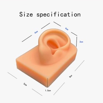 Модель уха Силиконовое искусственное ухо Модель уха