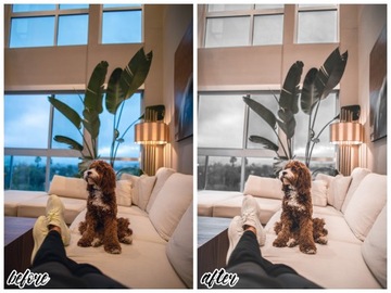 10 МИНИМАЛЬНЫХ пресетов — пресеты Adobe Lightroom