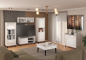 DOLCE DOL-08 контейнер колесный белый/белая половина