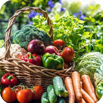 REVUS 250 SC 50ML БОРЬБЫ С ПОРОШКОВЫМ СРЕДНЫМ РАЗРУШЕНИЕМ ГРИБКОВЫХ ПОМОЩЕЙ ТОМАТОВ