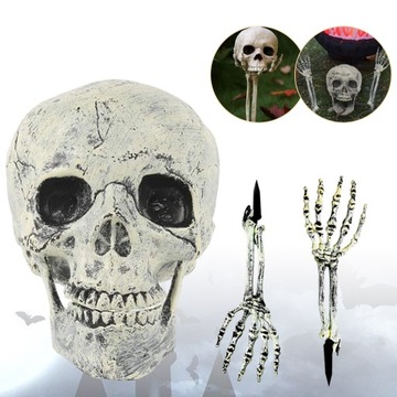 CZASZEK I RAMION NA HALLOWEEN DEKORACJA CZASZKA SZKIELET RAMIONA DO OGRODU