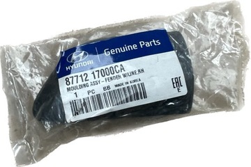 LIŠTA BLATNÍKU HYUNDAI MATRIX 87714-17000 NOVÁ OE