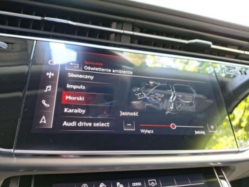 Audi Q7 II (4M) SUV Facelifting  3.0 50 TDI 286KM 2023 Audi Q7 50 TDI mHEV Quattro S Line Matrix LED FV 23 3.0 Diesel 285KM, zdjęcie 29