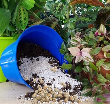 Грунт для GREEN PALM PLANTS MONSTER 5L COMPO