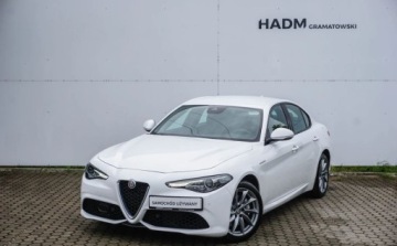 Alfa Romeo Giulia II Sedan 2.0 TBi 280KM 2019 Alfa Romeo Giulia Alfa Romeo Veloce Q4 280KM 2.0 Benzyna 280KM, zdjęcie 3