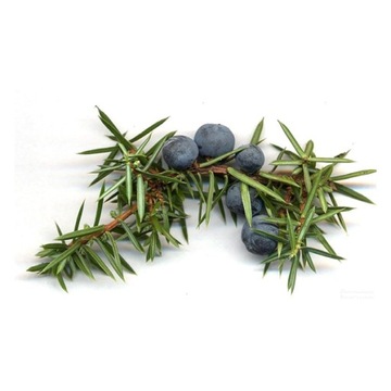 ЭПСОМ СОЛЬ ДЛЯ НОГ С МОЖЖЖЕВЫМ МАСЛОМ