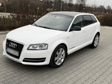 Audi A3 8P Hatchback 3d 1.6 TDI 105KM 2012 Audi a3 1.6 TDI 105KM LED KAMERA Bezwypadkowy, potwierdzony przebieg 1.6, zdjęcie 8