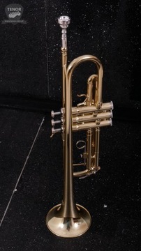 J.MICHAEL TR-200Z Труба