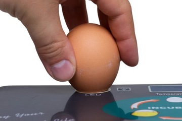 ИНКУБАТОР НА 35 ПТИЦЫ ЯИЦ ШПЯНИК БЕСПЛАТНО