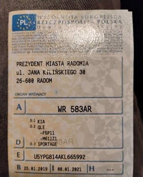 Kia Sportage IV SUV Facelifting 1.6 GDI 132KM 2019 Kia Sportage 2019r, SALON POLSKA. 1.6 Benzyna. Uszkodzony. Poobijany. Jezd, zdjęcie 17