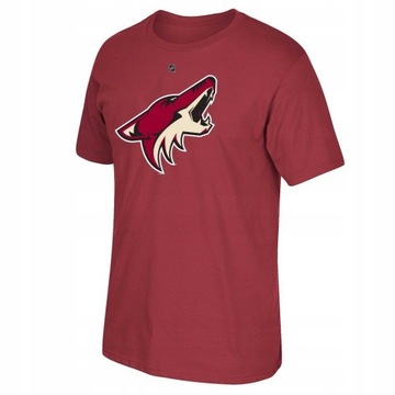 Джерси Reebok Arizona Coyotes DUCLAIR S НХЛ