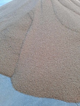 Пшеница 10 кг, корм для птиц