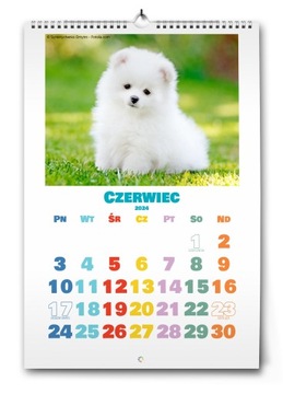 3 настенных фотокалендаря А3 с фотографиями